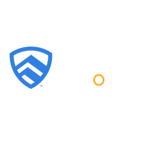 CAVU International logo