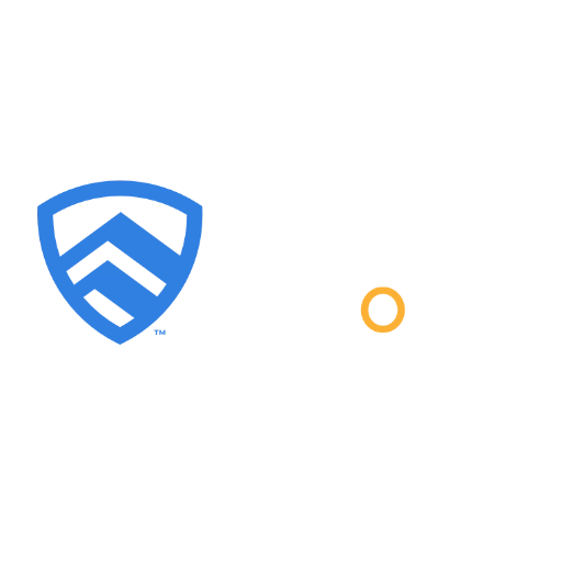 CAVU International