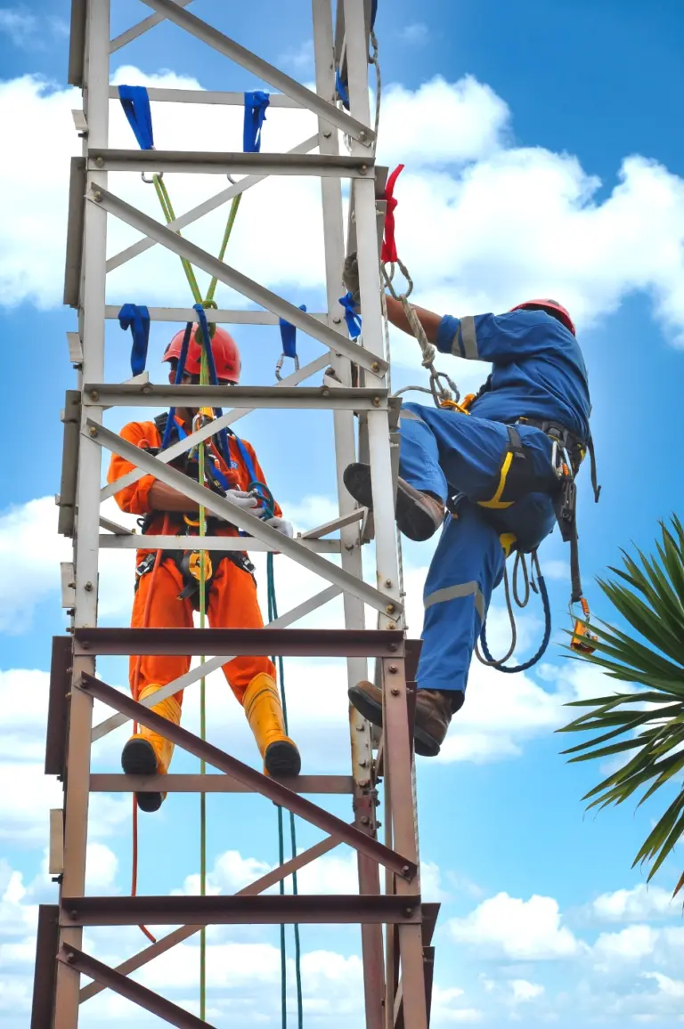 Fall Protection & Basic Rescue