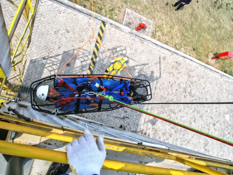 Fall Protection & Basic Rescue