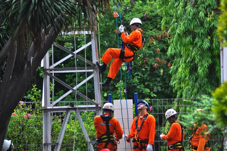 Fall Protection & Basic Rescue