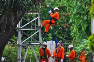 Fall Protection & Basic Rescue