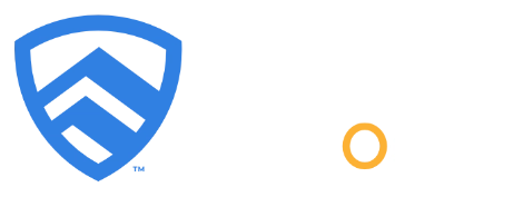 CAVU International